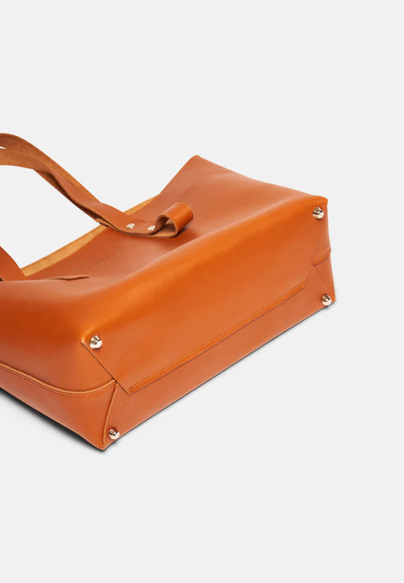 Aurlandskoen Fjell Tote Bag